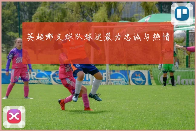 英超哪支球队球迷最为忠诚与热情